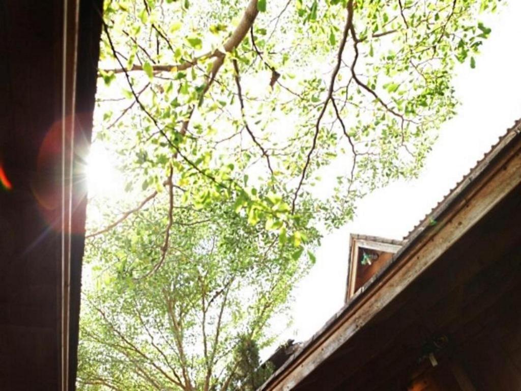 Loghome Boutique Chiang Mai Esterno foto